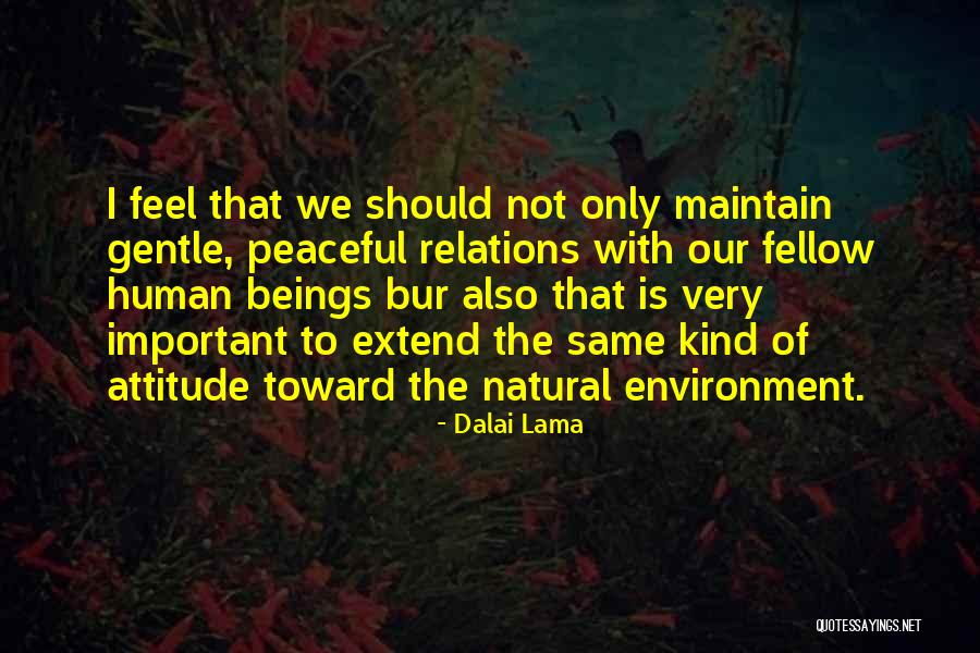 Ensima Gia Quotes By Dalai Lama Ensima Gia Quotes By Dalai Lama