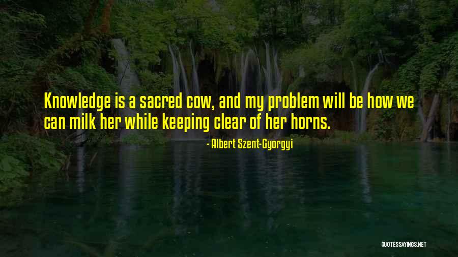 Ensino Em Quotes By Albert Szent-Gyorgyi Ensino Em Quotes By Albert Szent-Gyorgyi