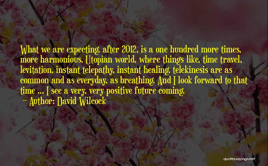 Ensouled Quotes By David Wilcock