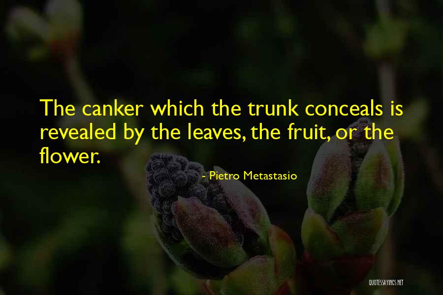 Ensuquer Quotes By Pietro Metastasio Ensuquer Quotes By Pietro Metastasio