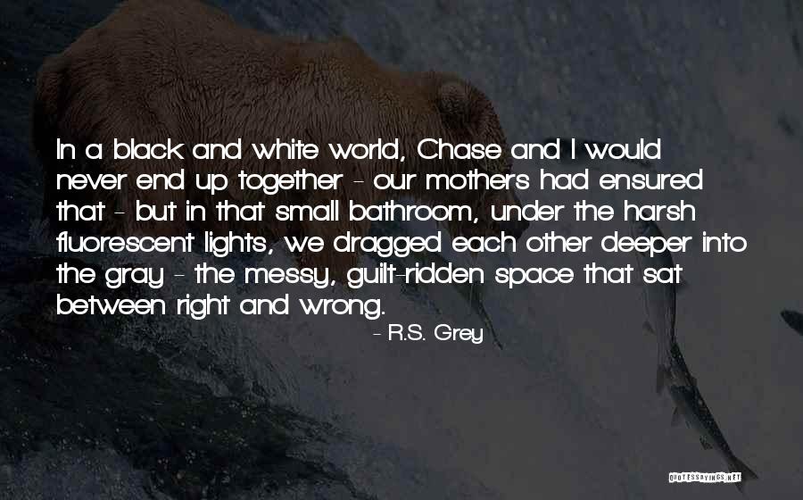 Ensured Us Quotes By R.S. Grey