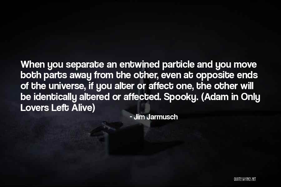 Entanglement Quotes By Jim Jarmusch Entanglement Quotes By Jim Jarmusch