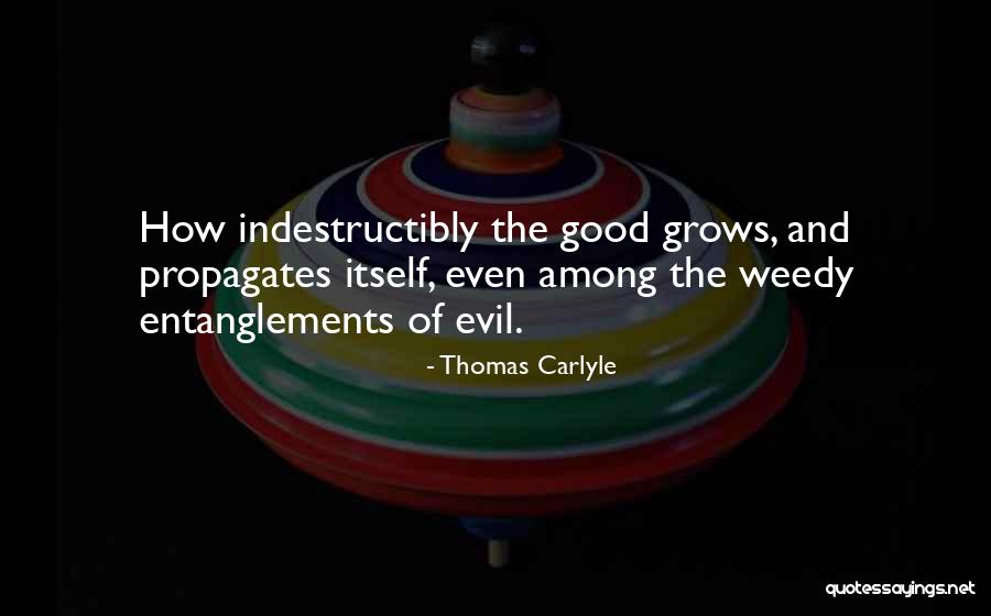 Entanglement Quotes By Thomas Carlyle Entanglement Quotes By Thomas Carlyle