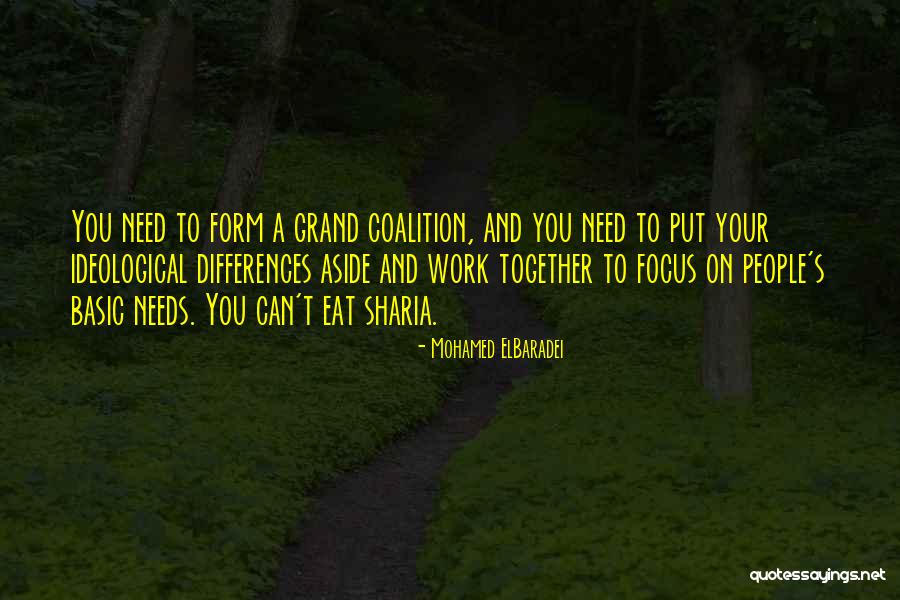 Entender Las Escrituras Quotes By Mohamed ElBaradei Entender Las Escrituras Quotes By Mohamed ElBaradei