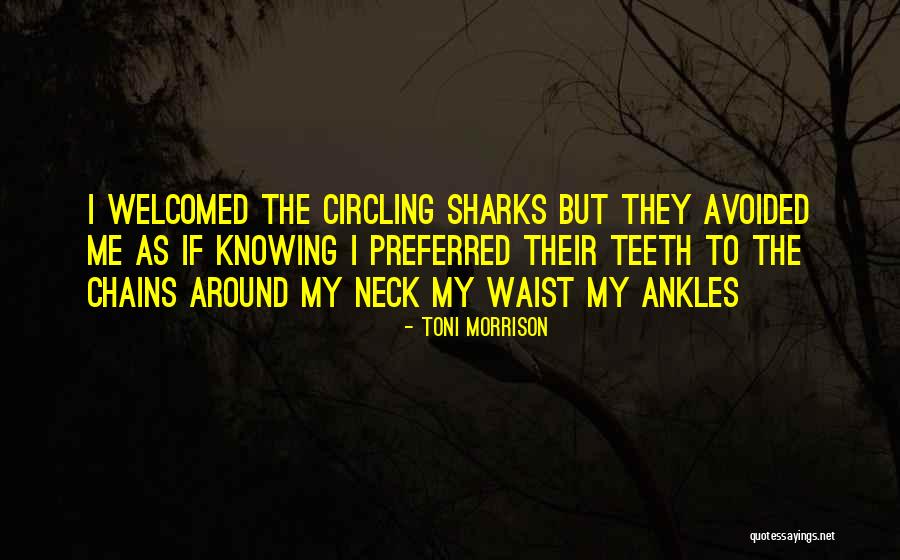 Entenderias Quotes By Toni Morrison Entenderias Quotes By Toni Morrison
