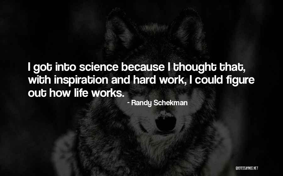 Entendeur Quotes By Randy Schekman Entendeur Quotes By Randy Schekman