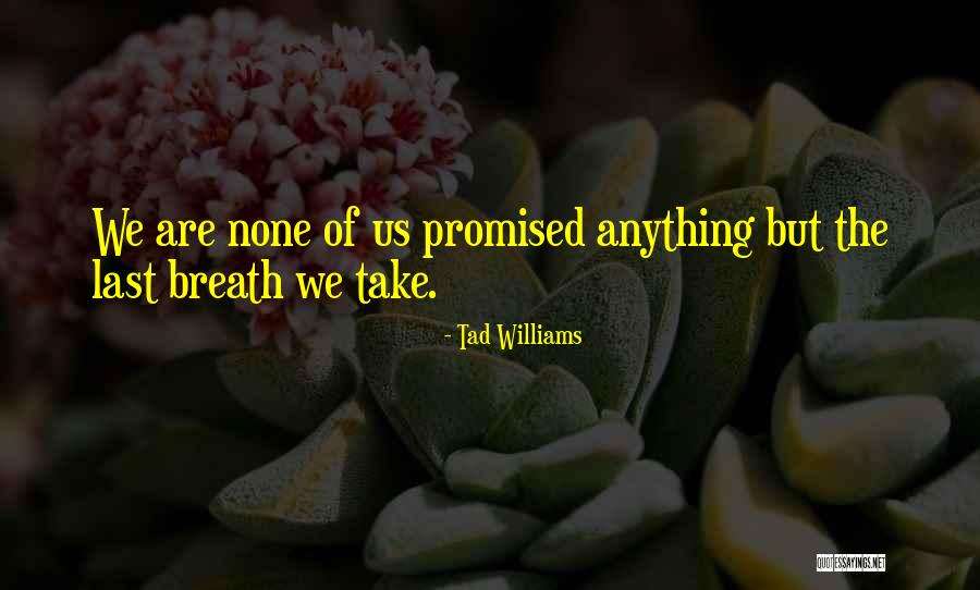 Entendres Pronunciation Quotes By Tad Williams Entendres Pronunciation Quotes By Tad Williams