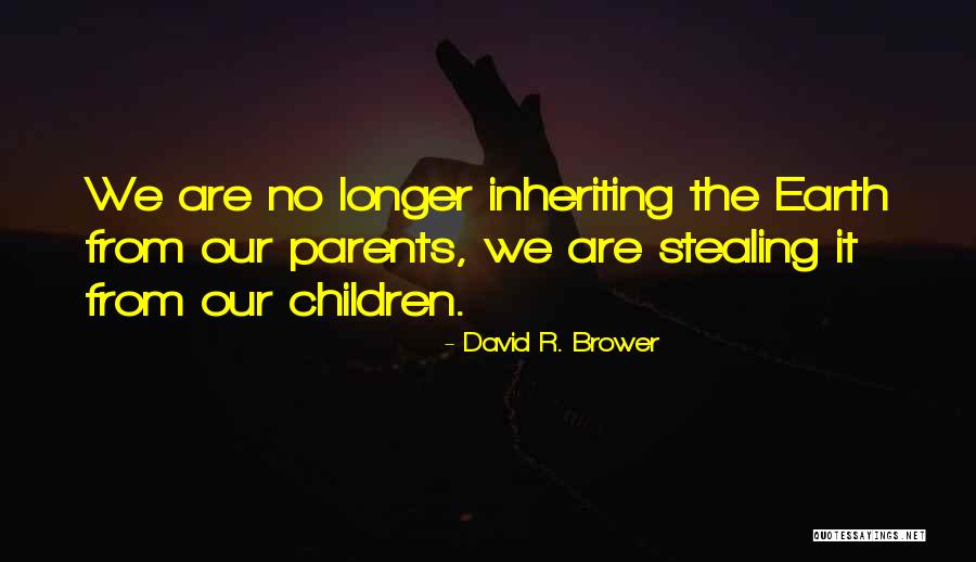 Enteng Quotes By David R. Brower Enteng Quotes By David R. Brower