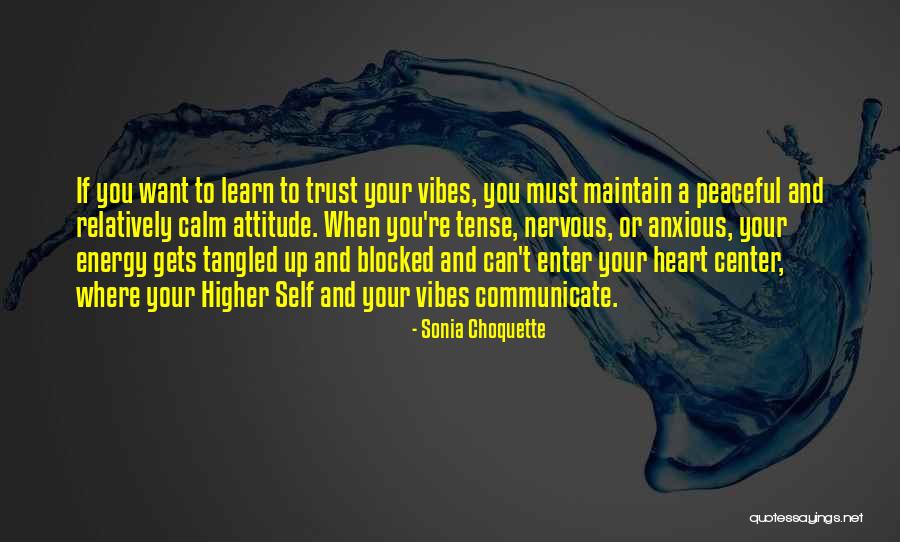 Enter Energy Quotes By Sonia Choquette Enter Energy Quotes By Sonia Choquette