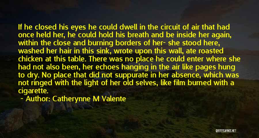 Enter Here Quotes By Catherynne M Valente