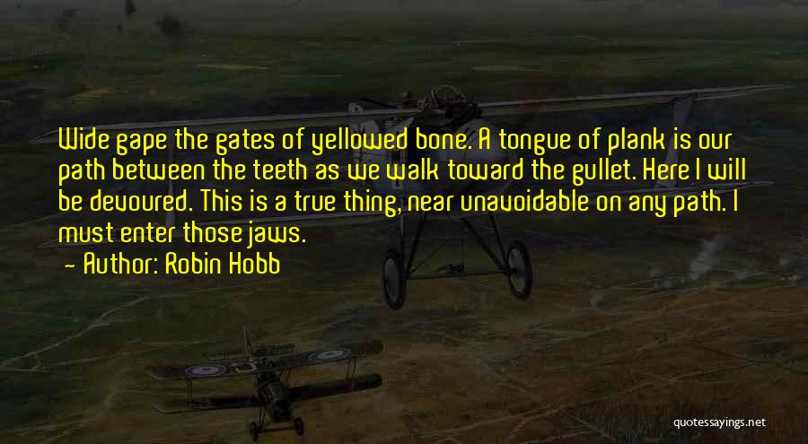 Enter Here Quotes By Robin Hobb
