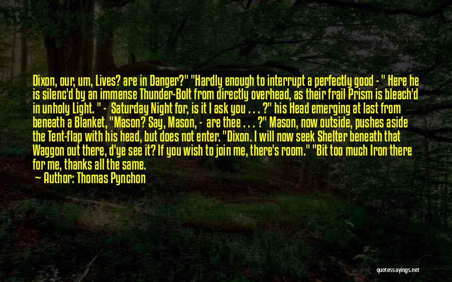 Enter Here Quotes By Thomas Pynchon