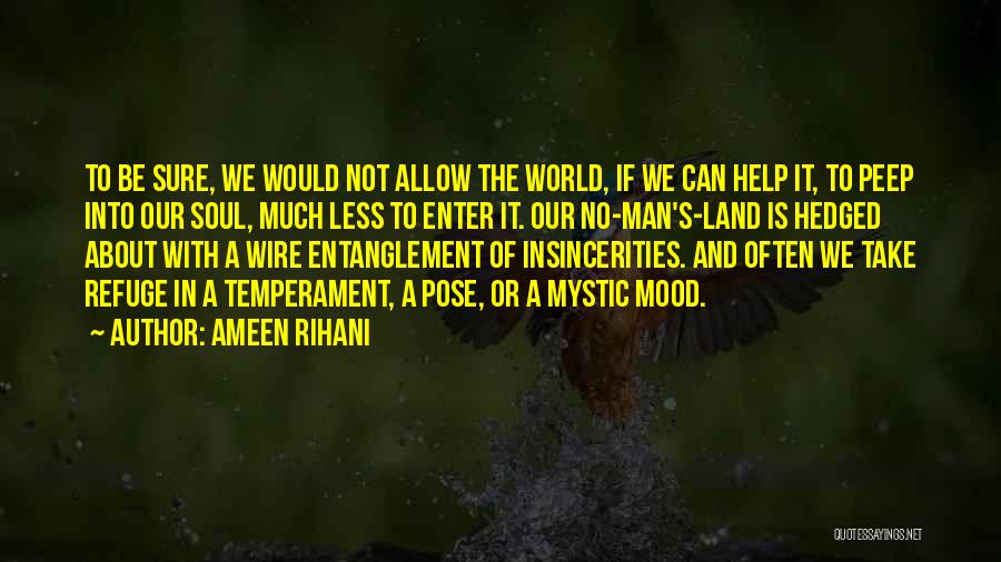 Enter Quotes By Ameen Rihani