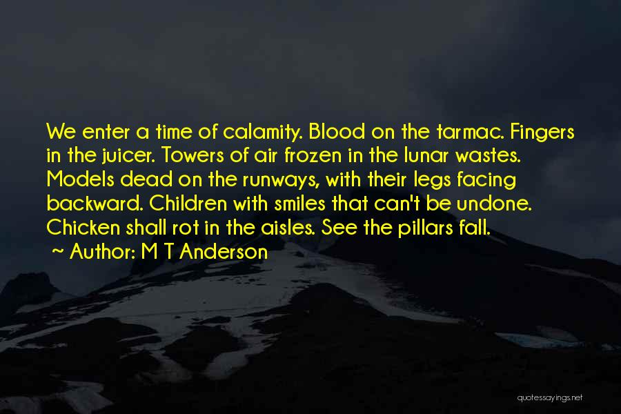 Enter Quotes By M T Anderson