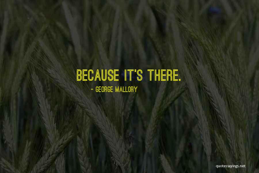 Enteral Tube Quotes By George Mallory Enteral Tube Quotes By George Mallory