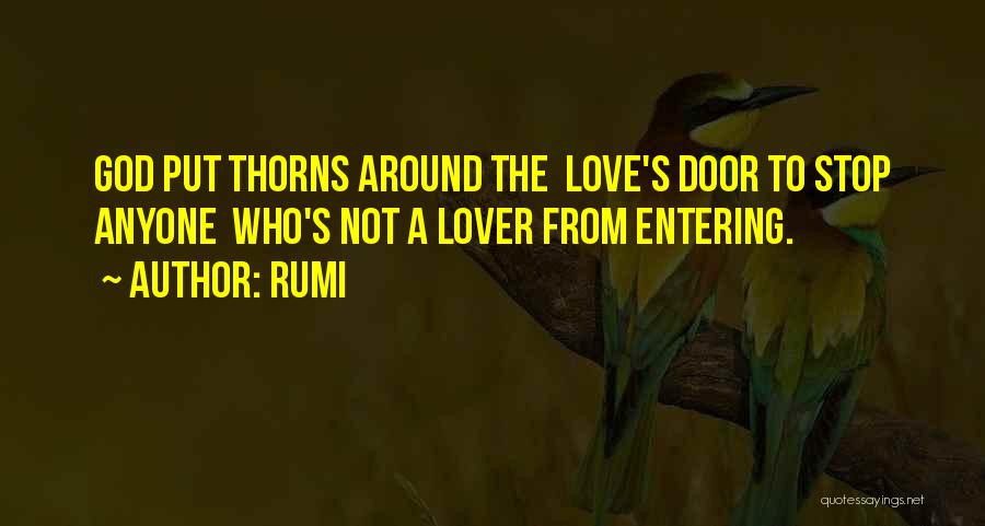 Entering A Door Quotes By Rumi