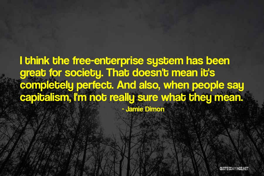 Enterprise And Society Quotes By Jamie Dimon Enterprise And Society Quotes By Jamie Dimon