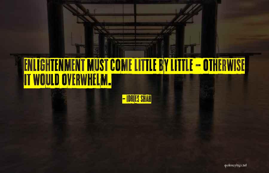 Enterprise Anderson Quotes By Idries Shah Enterprise Anderson Quotes By Idries Shah