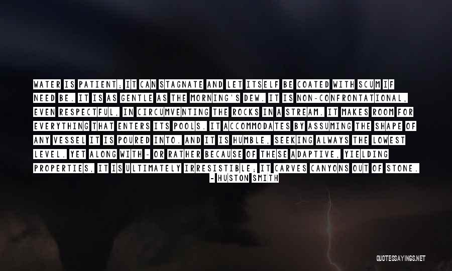 Enters Quotes By Huston Smith Enters Quotes By Huston Smith
