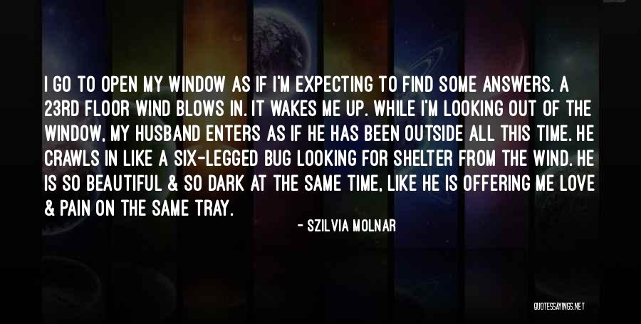 Enters Without Looking Quotes By Szilvia Molnar Enters Without Looking Quotes By Szilvia Molnar