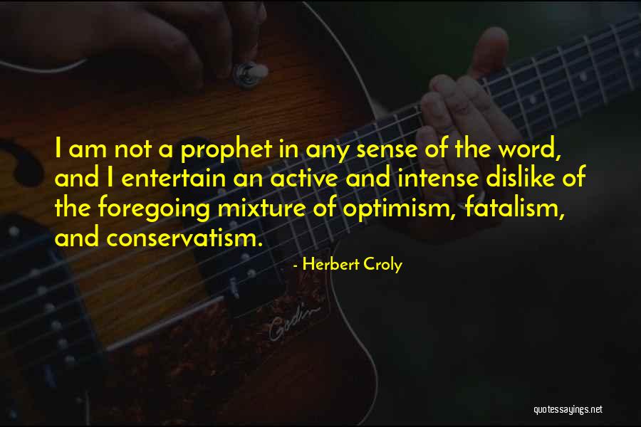 Entertain Quotes By Herbert Croly Entertain Quotes By Herbert Croly