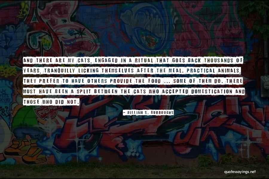 Entertainers Band Quotes By William S. Burroughs Entertainers Band Quotes By William S. Burroughs
