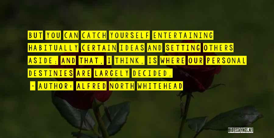 Entertaining Others Quotes By Alfred North Whitehead