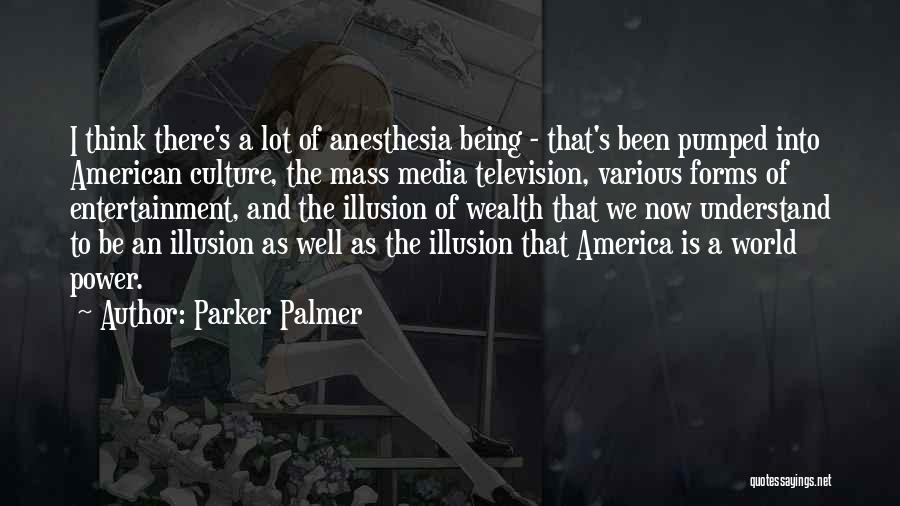 Entertainment In America Quotes By Parker Palmer