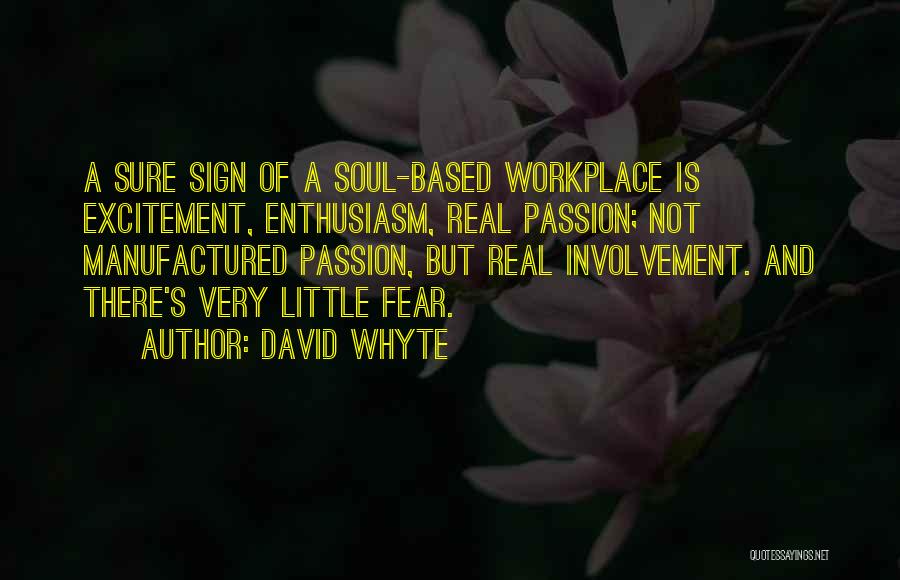 Enthusiasm Passion Quotes By David Whyte