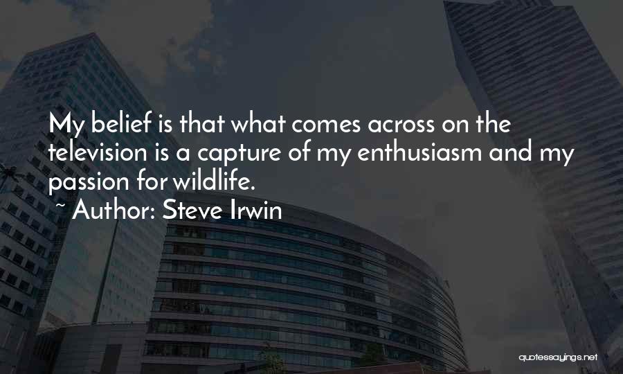 Enthusiasm Passion Quotes By Steve Irwin