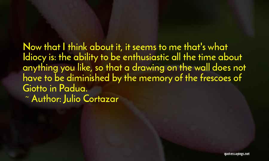 Enthusiastic Quotes By Julio Cortazar