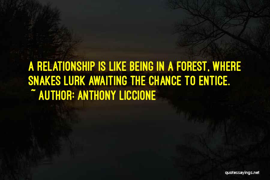 Entice Quotes By Anthony Liccione