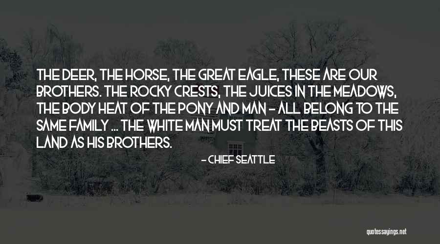 Entierro Del Quotes By Chief Seattle Entierro Del Quotes By Chief Seattle