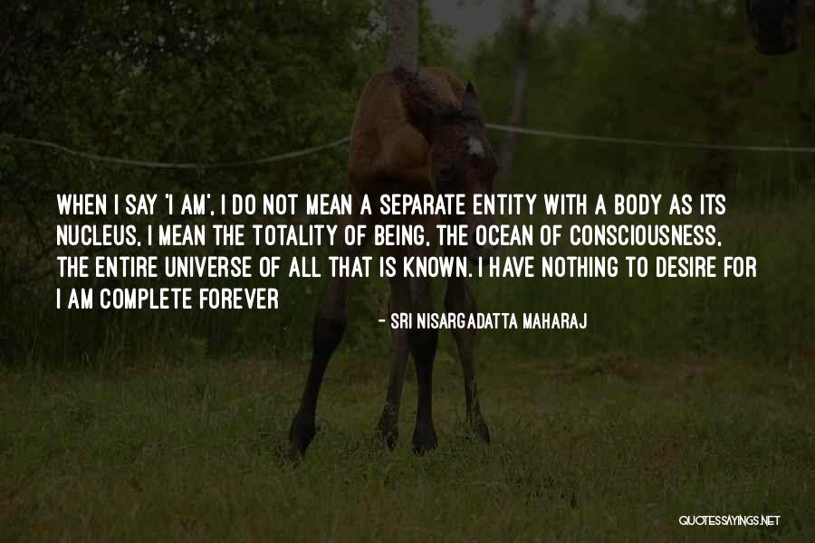 Entity Quotes By Sri Nisargadatta Maharaj