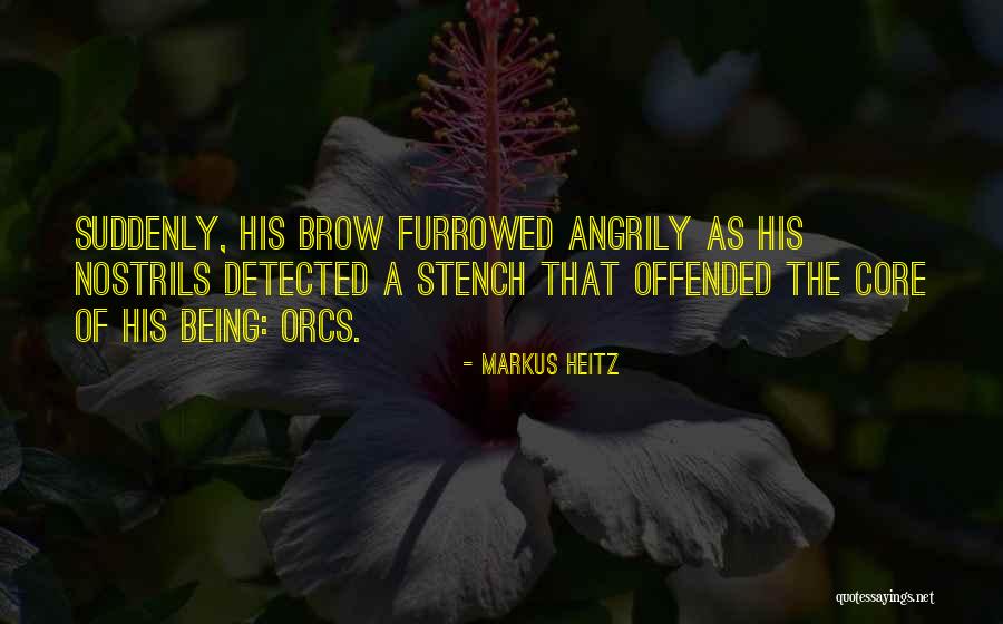 Entomb Mtg Quotes By Markus Heitz