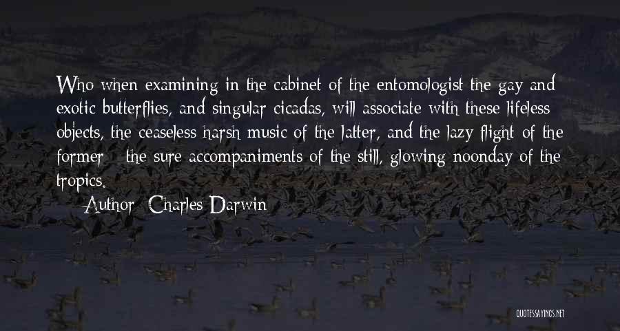 Entomologist Quotes By Charles Darwin