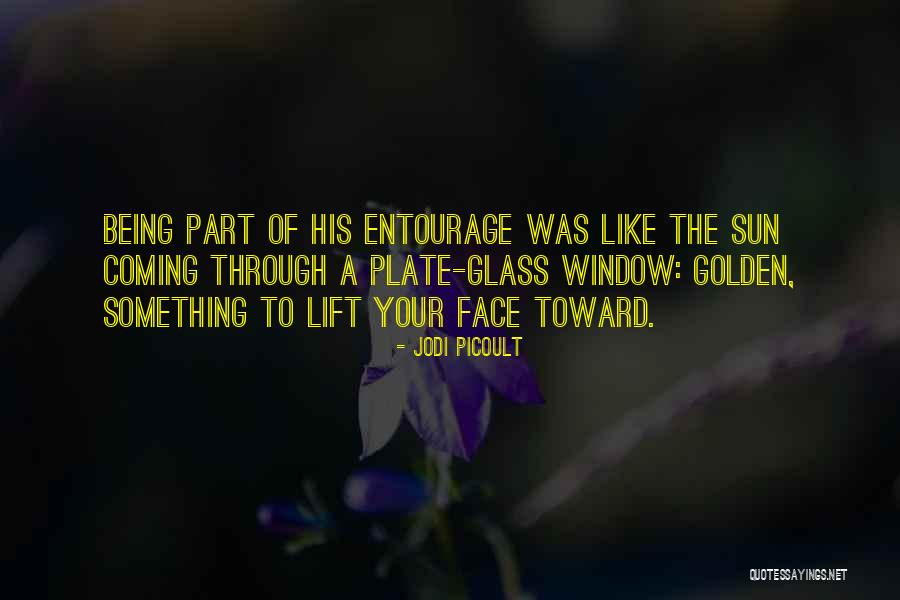 Entourage Quotes By Jodi Picoult Entourage Quotes By Jodi Picoult