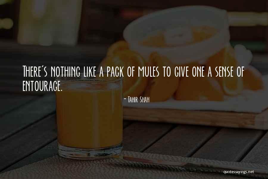 Entourage Quotes By Tahir Shah Entourage Quotes By Tahir Shah