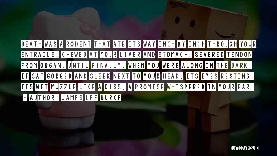 Entrails Quotes By James Lee Burke