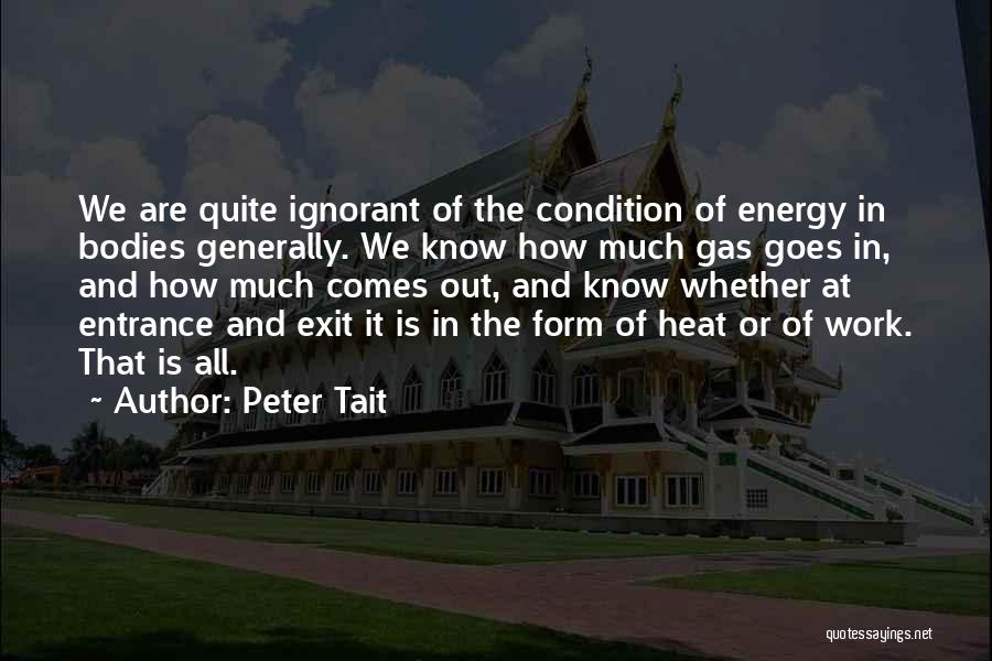 Entrance Exit Quotes By Peter Tait