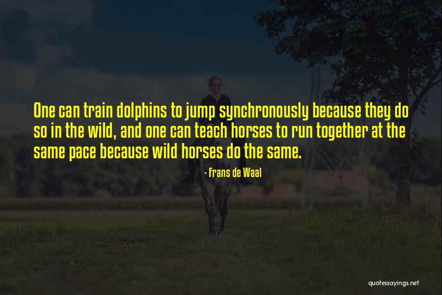 Entrapment Movie Quotes By Frans De Waal Entrapment Movie Quotes By Frans De Waal