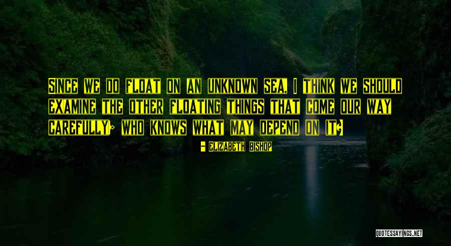 Entrenando A Papa Quotes By Elizabeth Bishop