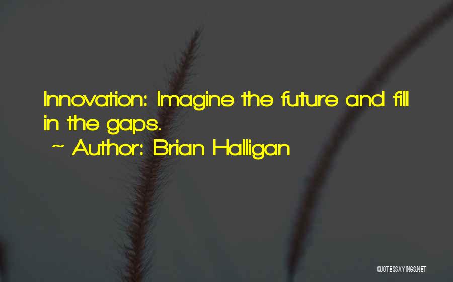 Entrepreneur Innovation Quotes By Brian Halligan