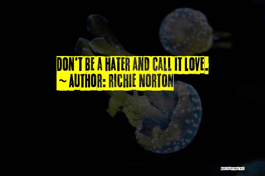 Entrepreneur Innovation Quotes By Richie Norton