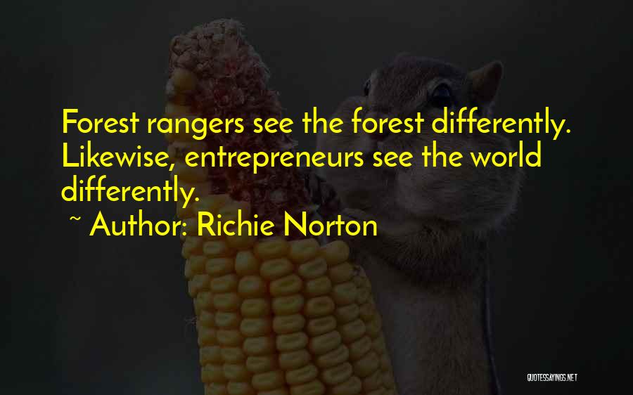 Entrepreneur Innovation Quotes By Richie Norton