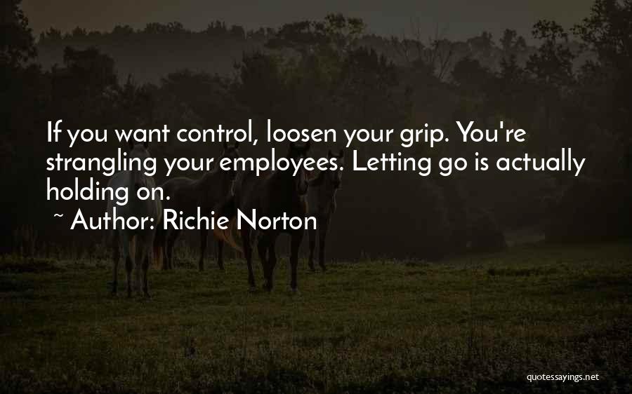 Entrepreneur Innovation Quotes By Richie Norton