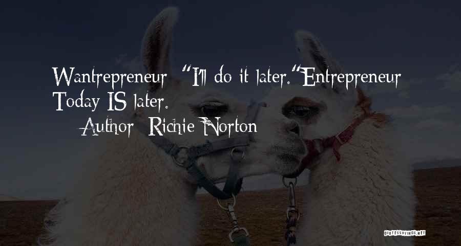 Entrepreneur Innovation Quotes By Richie Norton