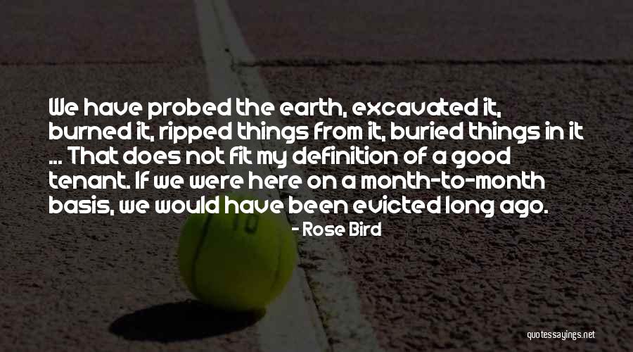 Entrepreneurial Inspirational Quotes By Rose Bird Entrepreneurial Inspirational Quotes By Rose Bird