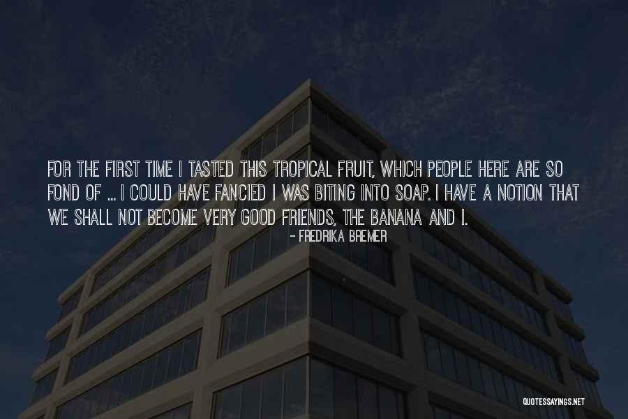 Entretener Sinonimo Quotes By Fredrika Bremer Entretener Sinonimo Quotes By Fredrika Bremer
