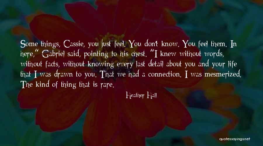 Entretener Sinonimo Quotes By Heather Hall Entretener Sinonimo Quotes By Heather Hall